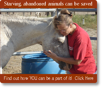 Starving, abandoned animals can be saved